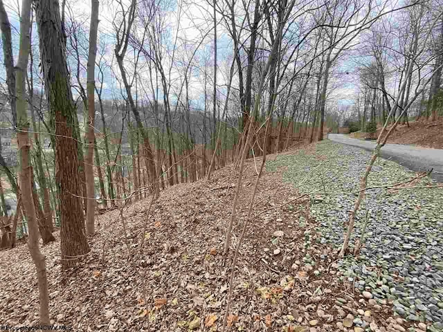 Listing photo 2 for TBD Hickory Ridge Rd, Morgantown WV 26508