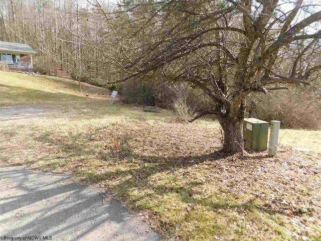 TBD Red Oak Lane, Elkins WV, 26241 land for sale