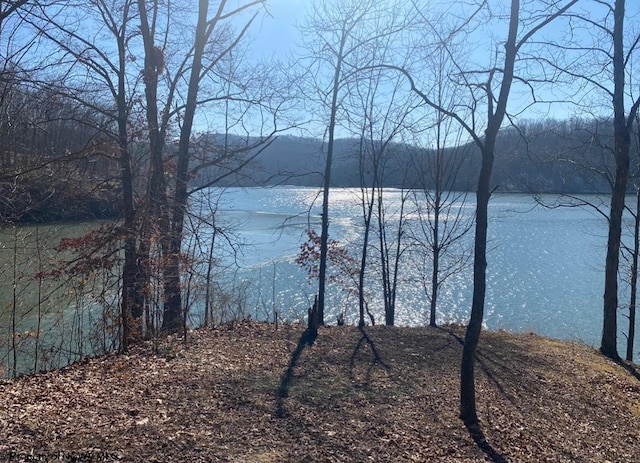 LOT43 Lakeview Hts, Horner, WV 26372