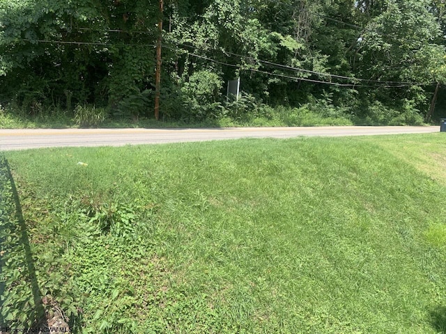 1036 N Willey St, Morgantown WV, 26505 land for sale