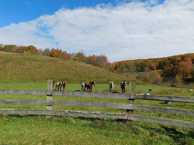 view of gate featuring a rural view and a yard