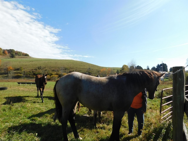 view of yard featuring a rural view