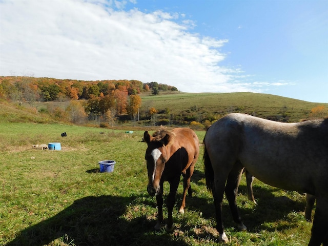 exterior space with a rural view