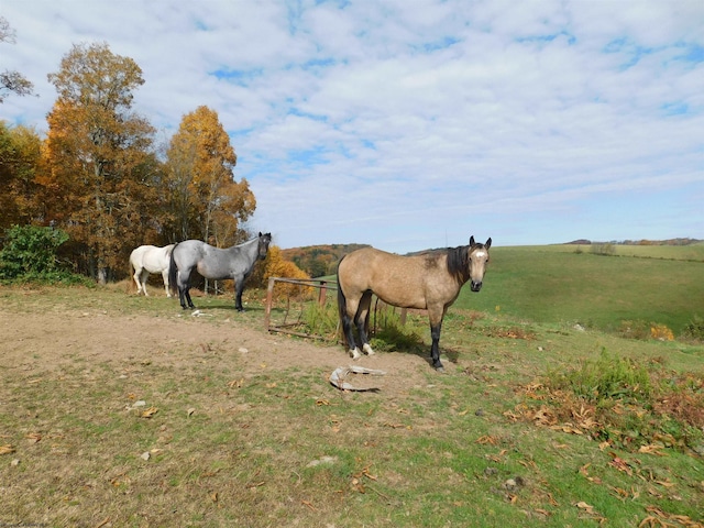 view of yard with a rural view