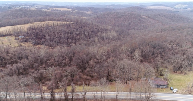 TBD Beverly Pike, Grafton WV, 26354 land for sale