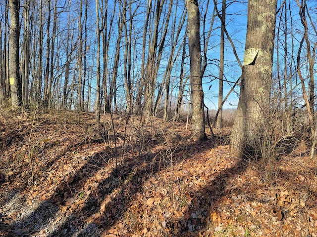 Listing photo 2 for LOT9 Sand Bank Rd, Masontown WV 26542