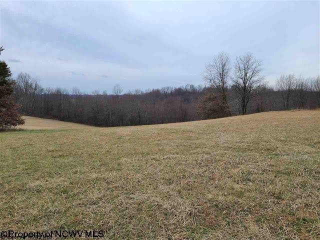 Listing photo 2 for LOT10 High Meadows Dr, Moatsville WV 26405