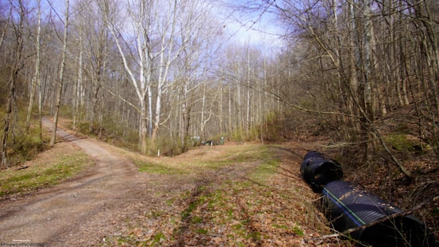 TBD Fern Dr, Weston WV, 26452 land for sale