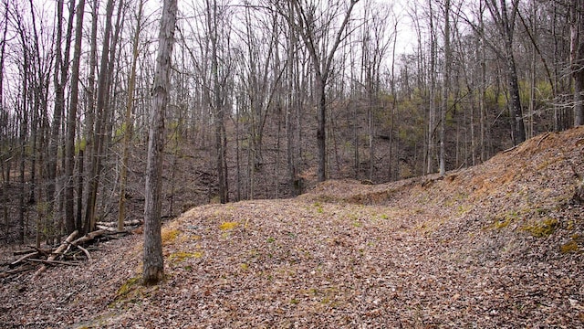 Listing photo 2 for TBD Fern Dr, Weston WV 26452