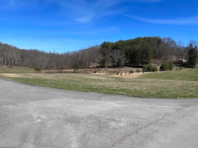 Listing photo 3 for LOT47 Sullivan Dr, Elkins WV 26241