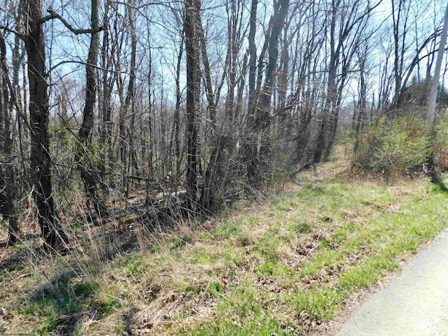 Listing photo 3 for TBD Longhorn Ln, Morgantown WV 26508