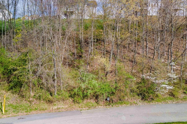 116 Iris Ln, Morgantown WV, 26501 land for sale