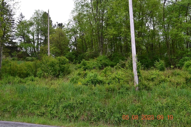 000 Lucas Dairy Rd, Grafton WV, 26354 land for sale