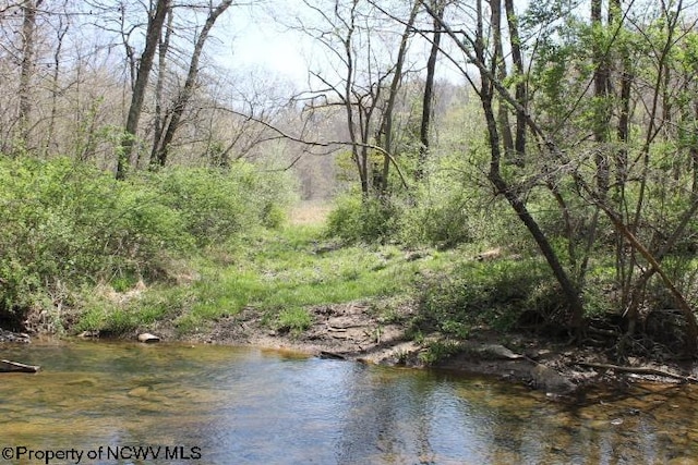 0 S Hazelwood Rd, Beverly WV, 26253 land for sale