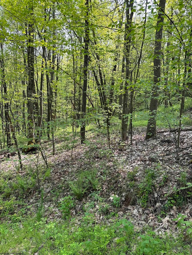 Listing photo 2 for LotC Sand Bank Road, Masontown WV 26542