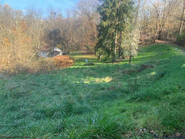 0 College Ave, Morgantown WV, 26505 land for sale