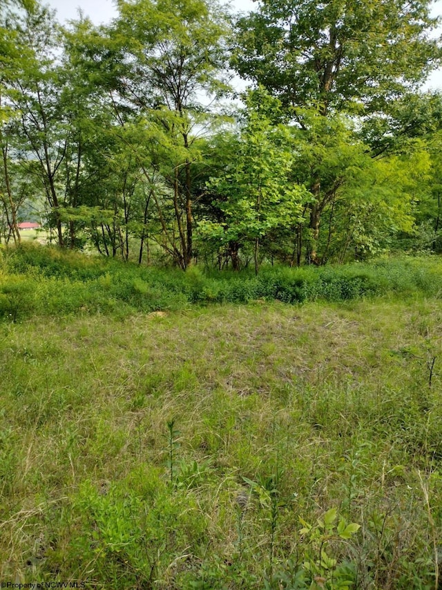 Listing photo 2 for TBD Freeland Rd, Terra Alta WV 26764