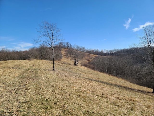 1931 Saint Leo Rd, Wana WV, 26590 land for sale