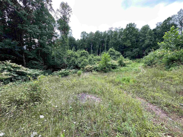 TBD Veterans Memorial Highway, Kingwood, WV 26537
