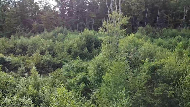 TBD Veterans Memorial Highway, Kingwood, WV 26537