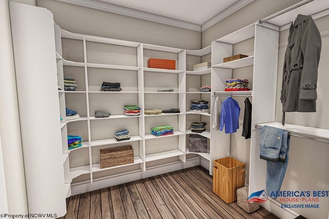 spacious closet with dark wood-type flooring