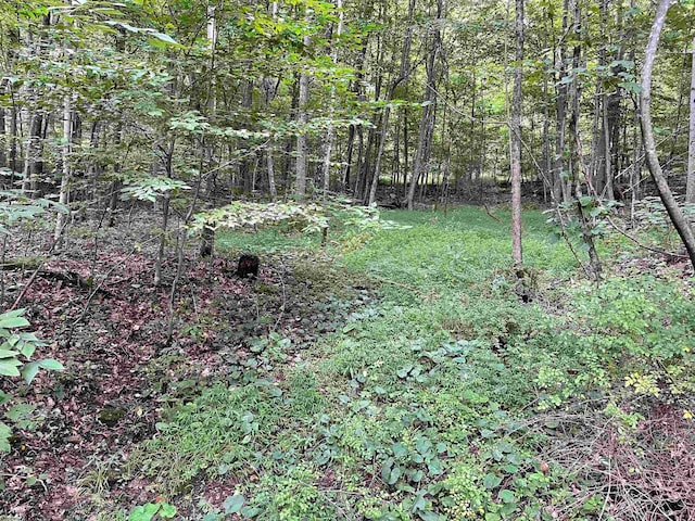 917 Mudlick Run Rd, Fairmont WV, 26554 land for sale