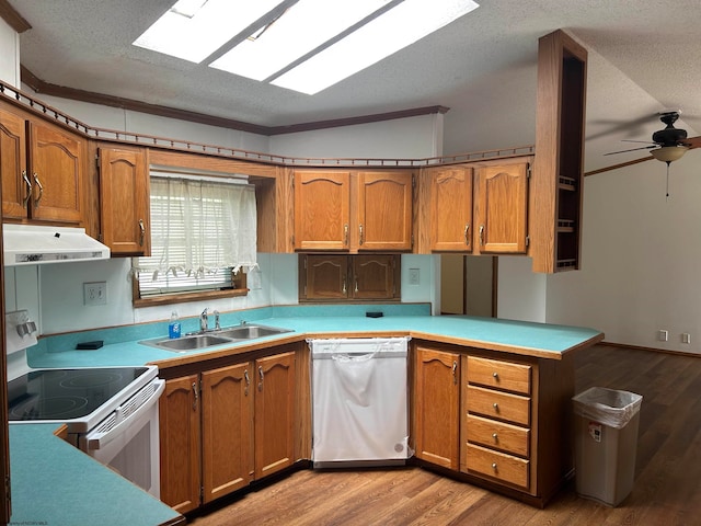 kitchen featuring ceiling fan, crown molding, electric stove, light hardwood / wood-style flooring, and dishwasher