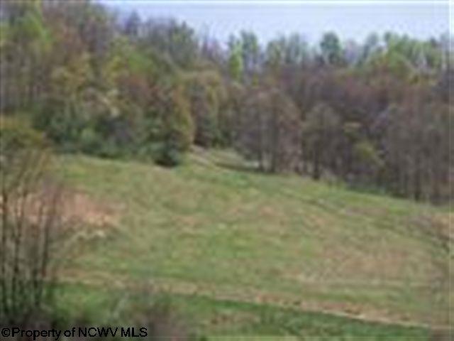 604 Popular St, Jane Lew WV, 26378 land for sale