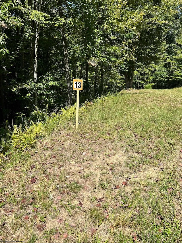 LOT13 Countryside Dr, Buckhannon WV, 26201 land for sale