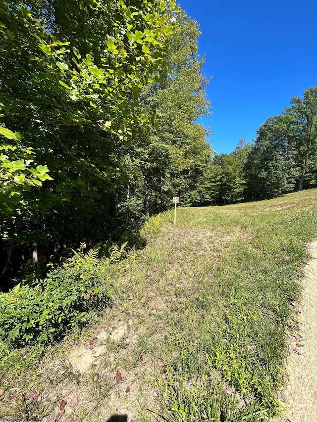 Listing photo 3 for LOT13 Countryside Dr, Buckhannon WV 26201