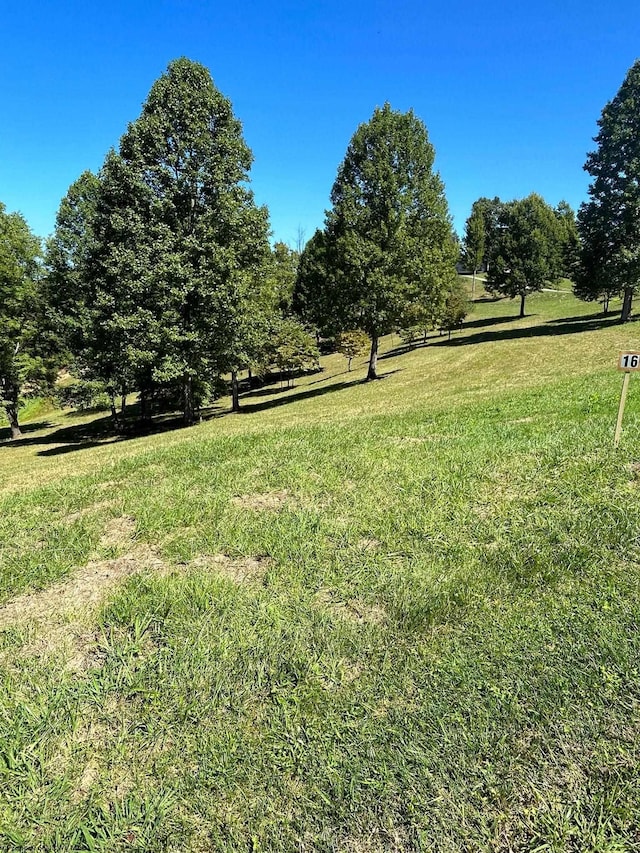 Listing photo 2 for LOT16 Countryside Dr, Buckhannon WV 26201