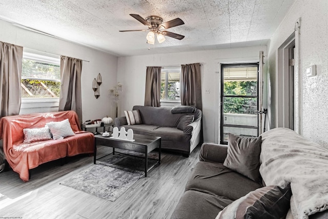 living room with plenty of natural light, ceiling fan, and light wood-type flooring