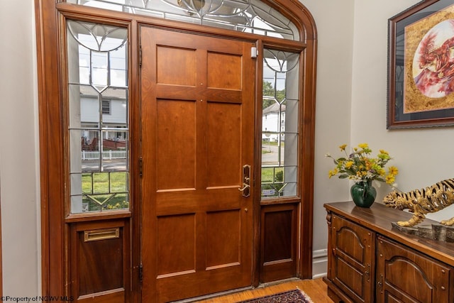 foyer with light hardwood / wood-style flooring and plenty of natural light