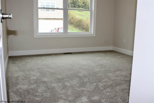 spare room with a wealth of natural light and light carpet