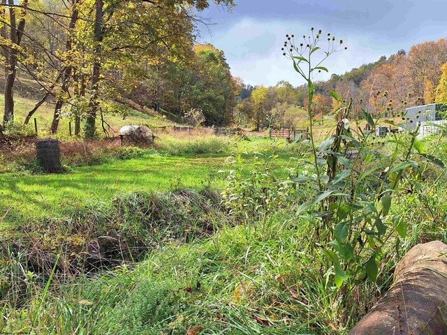 583 Gallop Run Rd, Lost Creek, WV 26385 - view of yard featuring a rural view