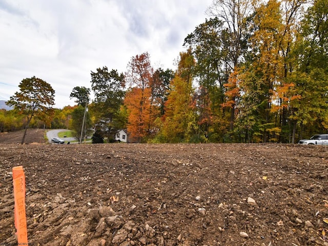 LOT2 King Dr, Kingwood WV, 26537 land for sale