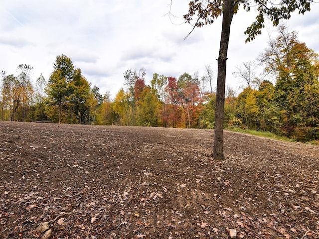 Listing photo 2 for LOT5 King Dr, Kingwood WV 26537