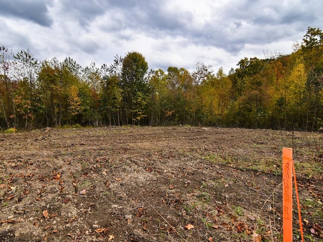 LOT9 King Dr, Kingwood WV, 26537 land for sale