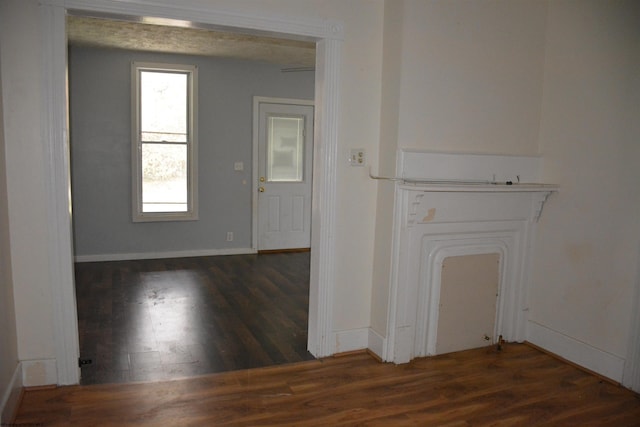 entrance foyer featuring dark wood-type flooring