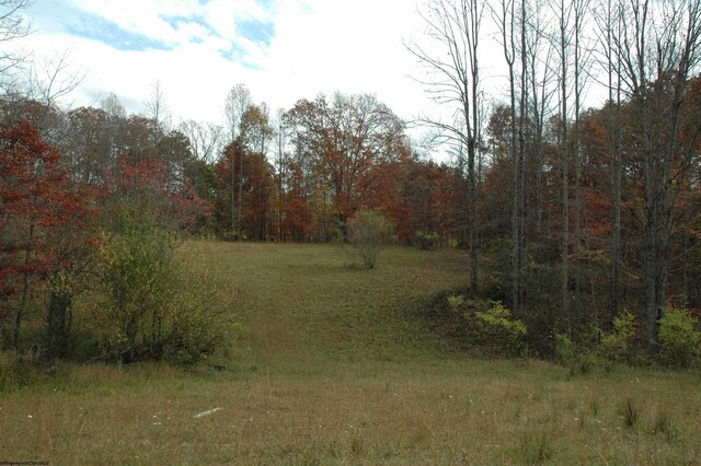 308 Alton Rd, Adrian, WV 26210