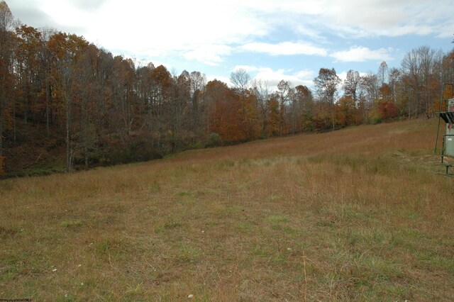 308 Alton Rd, Adrian, WV 26210