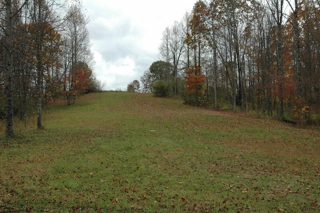 308 Alton Rd, Adrian, WV 26210