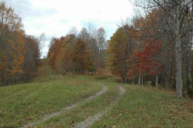 308 Alton Rd, Adrian, WV 26210