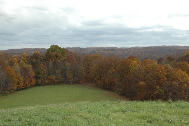 308 Alton Rd, Adrian, WV 26210