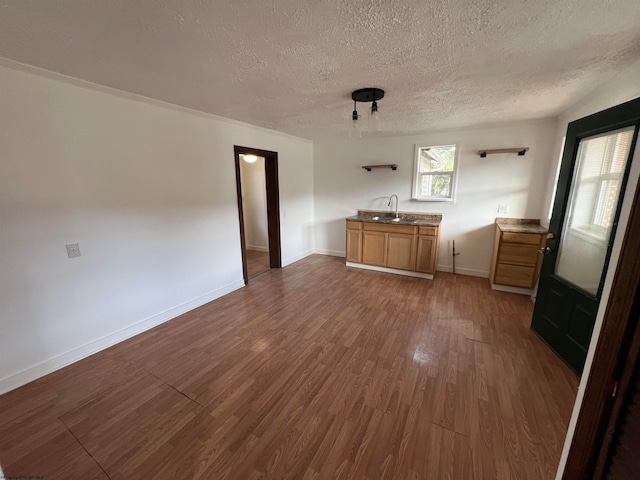 interior space featuring sink, a textured ceiling, and dark wood-type flooring