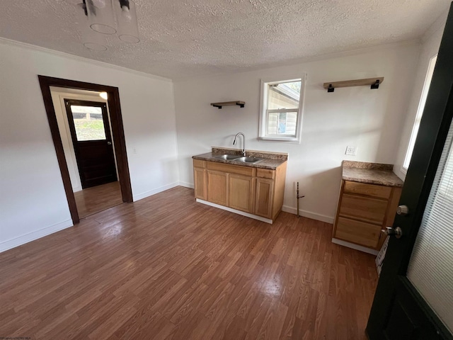 interior space featuring sink, wood-type flooring, and multiple windows