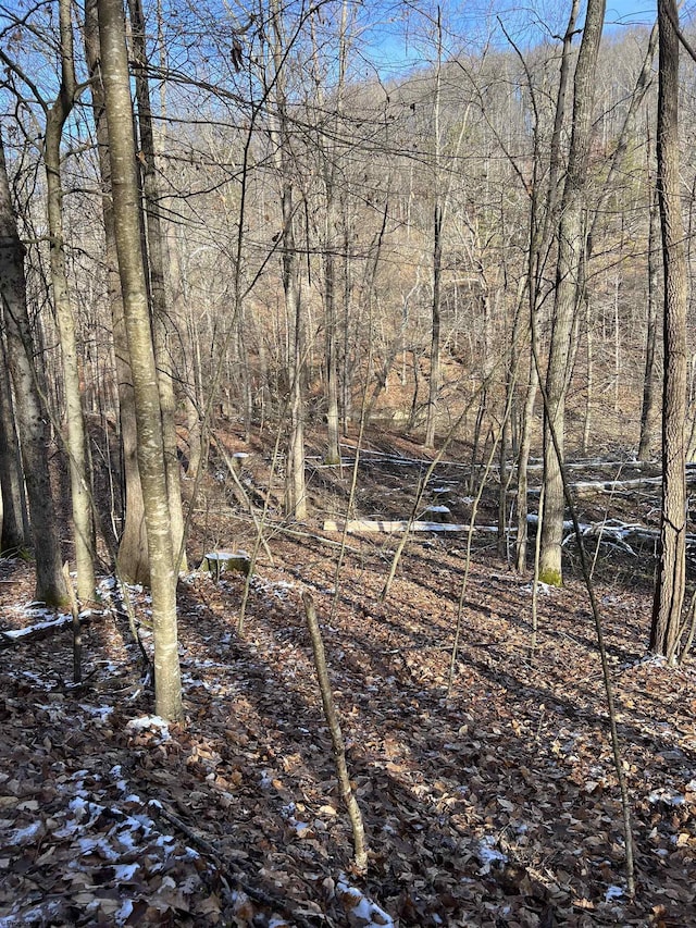 00 Glassworks Rd, Buckhannon WV, 26201 land for sale