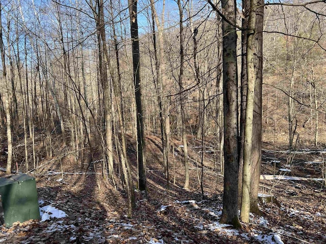 Listing photo 3 for 00 Glassworks Rd, Buckhannon WV 26201