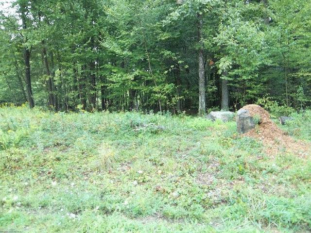 LOT19 Hemlock Ridge Rd, Terra Alta WV, 26764 land for sale