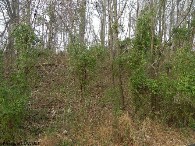 N-2 Lemley St, Morgantown WV, 26505 land for sale